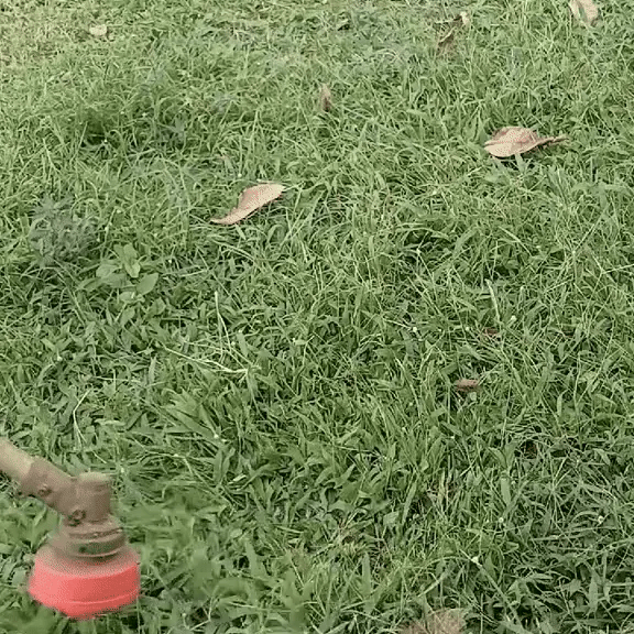 XTrim PRO | The No-Break Strimmer Head